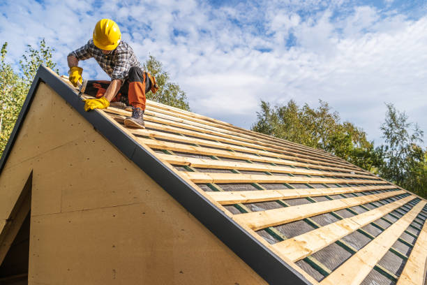 Roof Gutter Cleaning in West Hill, OH