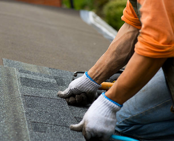Best Gutter Installation and Roofing  in West Hill, OH
